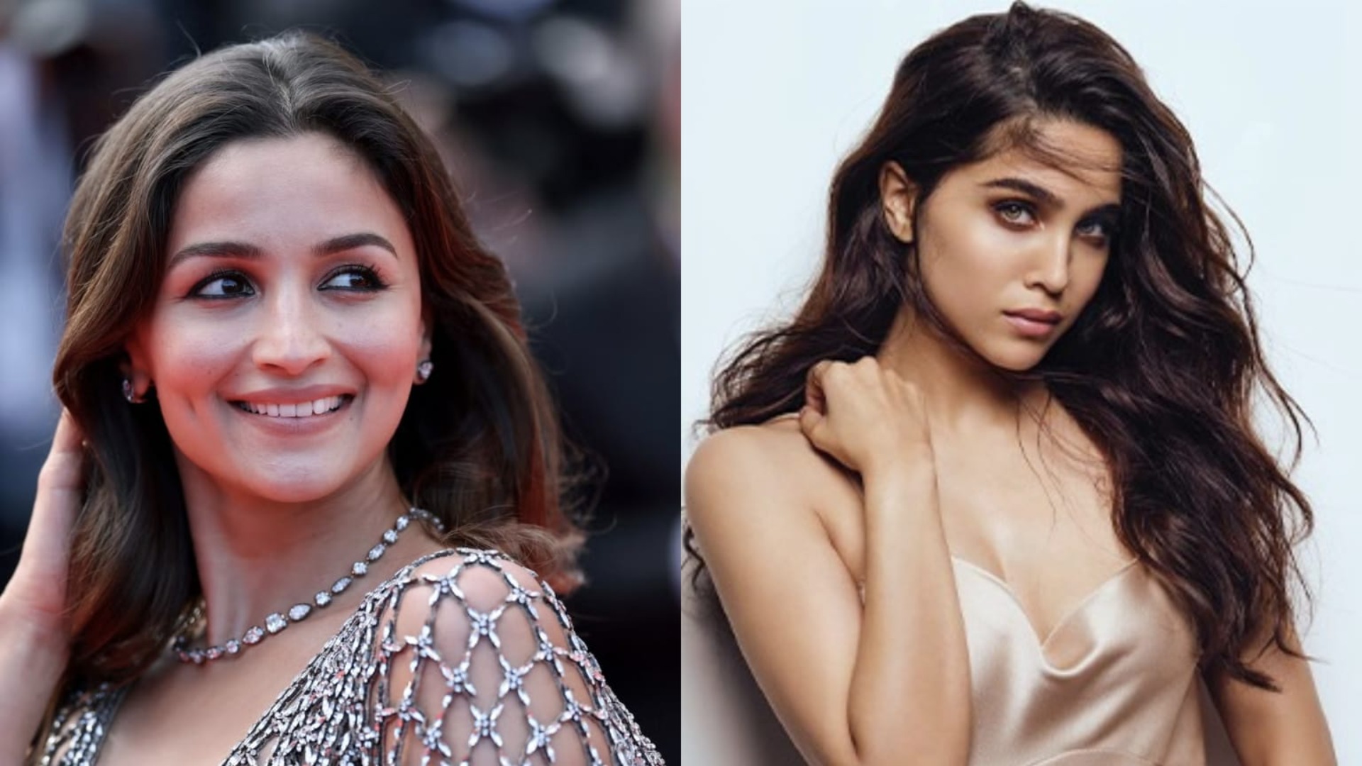 Alpha Box Office Collection featuring Alia Bhatt and Sharvari in the spy thriller